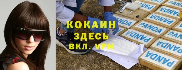 мдпв Новокубанск