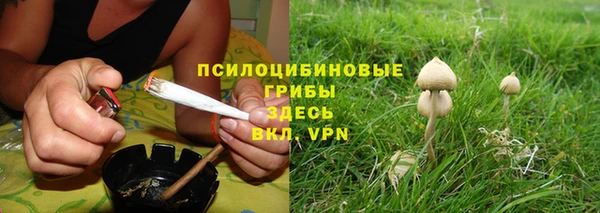 сатива Нягань