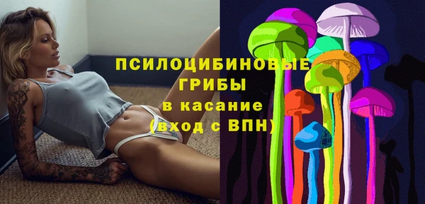 гидропоника Новозыбков