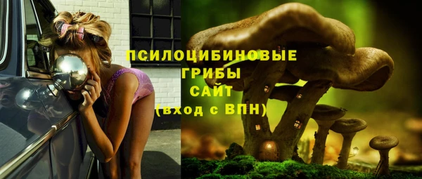 гидропоника Новозыбков