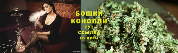 гидропоника Новозыбков